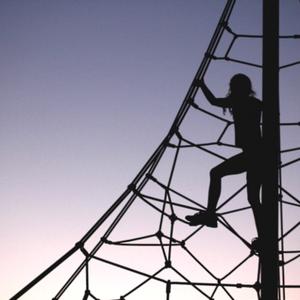 Highly Commended: Spiderweb, by Matt Wilson.